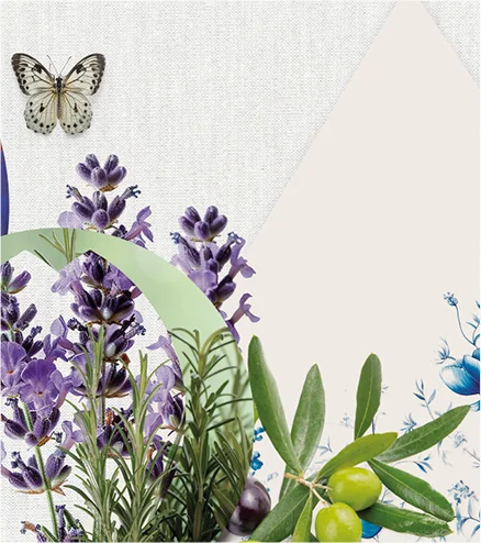 A la izquierda, un collage con una mariposa sobre plantas de lavanda y romero. A la derecha, ramas de olivo con aceitunas e ilustraciones florales azules crean una composición natural y relajante.