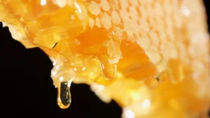 AGRICULTURA Primer plano de un panal dorado que gotea miel fresca sobre un fondo negro. Las celdas hexagonales están llenas de miel translúcida y pegajosa, lo que resalta la intrincada textura y la riqueza del producto natural.